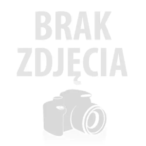 Przetwornica napięcia z ładowaniem baterii Monolith 1000W / 2000W 12V na 230V Czysty Sinus Qoltec 51942