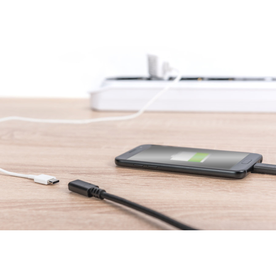 Kabel USB C - USB C 2.0 przedłużacz 2,0m Digitus AK-300210-020-S
