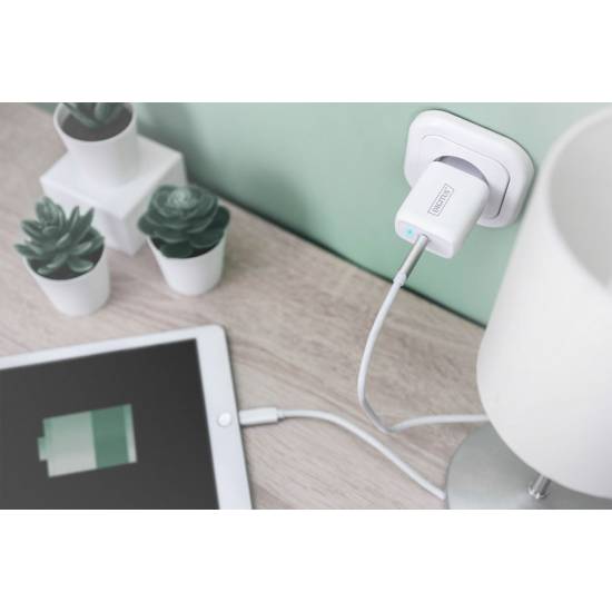 Ładowarka USB C PowerDelivery 20W Digitus DA-10196