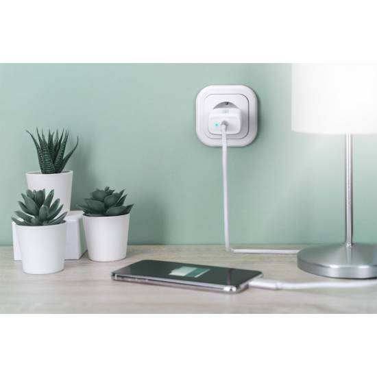 Ładowarka USB C PowerDelivery 20W Digitus DA-10196