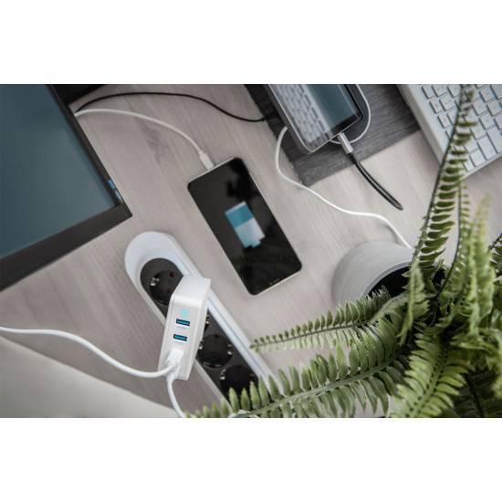 Ładowarka USB A x2 i USB C x2 PowerDelivery 100W Digitus DA-10197