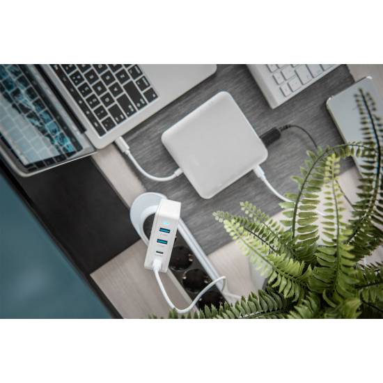 Ładowarka USB A x2 i USB C x2 PowerDelivery 100W Digitus DA-10197