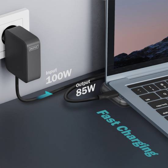 Stacja dokująca 12port USB-C HDMI x2 DP x1 RJ45 SD/microSD PD 100W 8K Digitus DA-70919