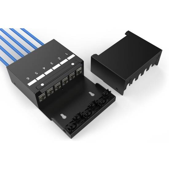 Skrzynka punktu konsolidacyjnego na 6 modułów keystone z menedżerem kabli Digitus DN-93708-6