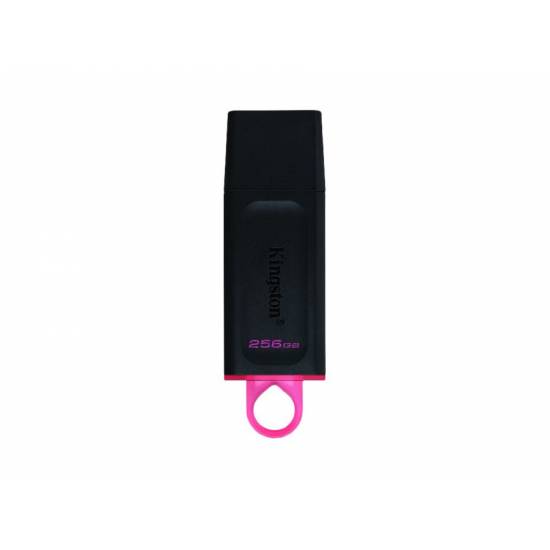 Pamięć USB 3.2 Kingston DataTraveler Exodia 256GB DTX/256GB
