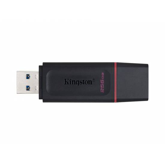 Pamięć USB 3.2 Kingston DataTraveler Exodia 256GB DTX/256GB