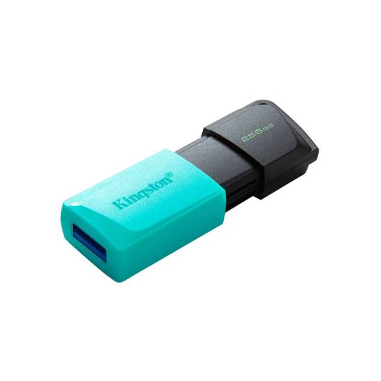 Pamięć USB 3.2 Kingston DataTraveler Exodia M 256GB DTXM/256GB