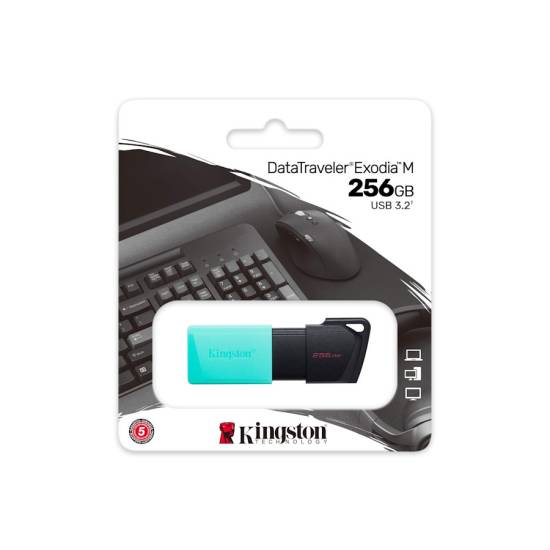Pamięć USB 3.2 Kingston DataTraveler Exodia M 256GB DTXM/256GB