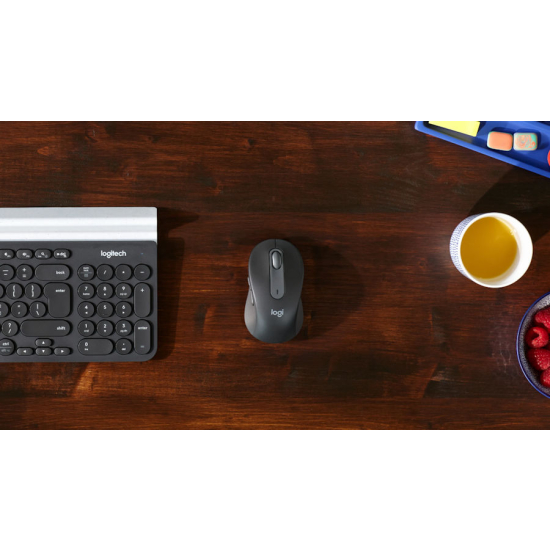 Mysz bezprzewodowa Logitech Signature M650 L grafitowa