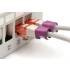 Klips do wtyku RJ45 100szt purpurowy Digitus A-CC-MG