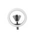 Lampa pierścieniowa LED 10