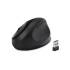 Mysz Kensington Pro Fit Ergo Black K75404EU USB / Bluetooth